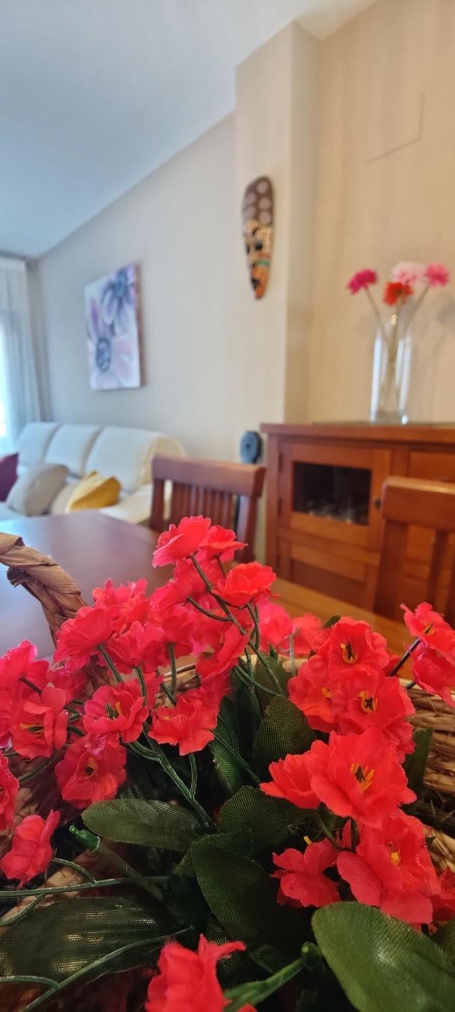 Ca L'Esmolet Apartment Тремп Екстериор снимка