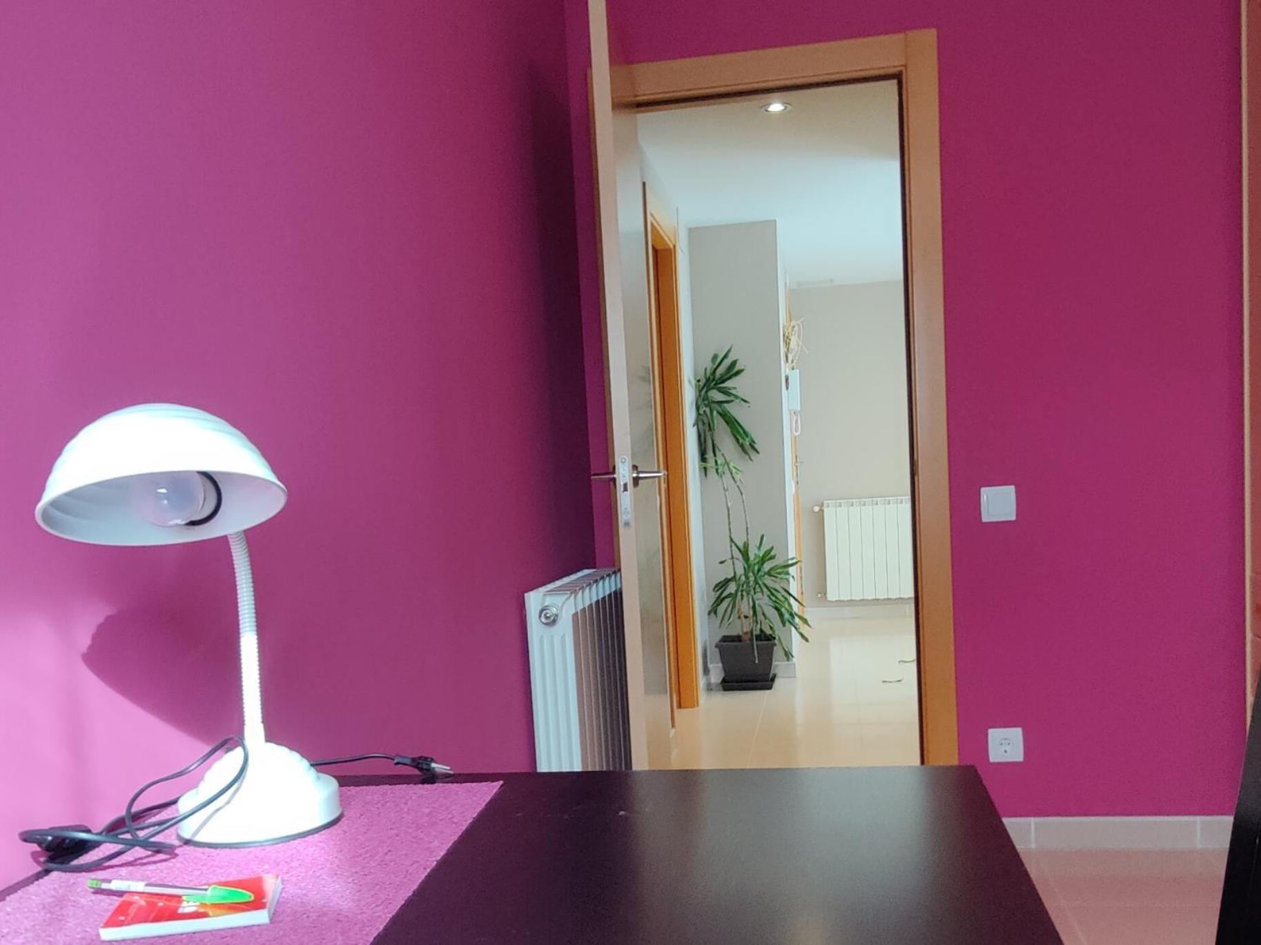 Ca L'Esmolet Apartment Тремп Екстериор снимка